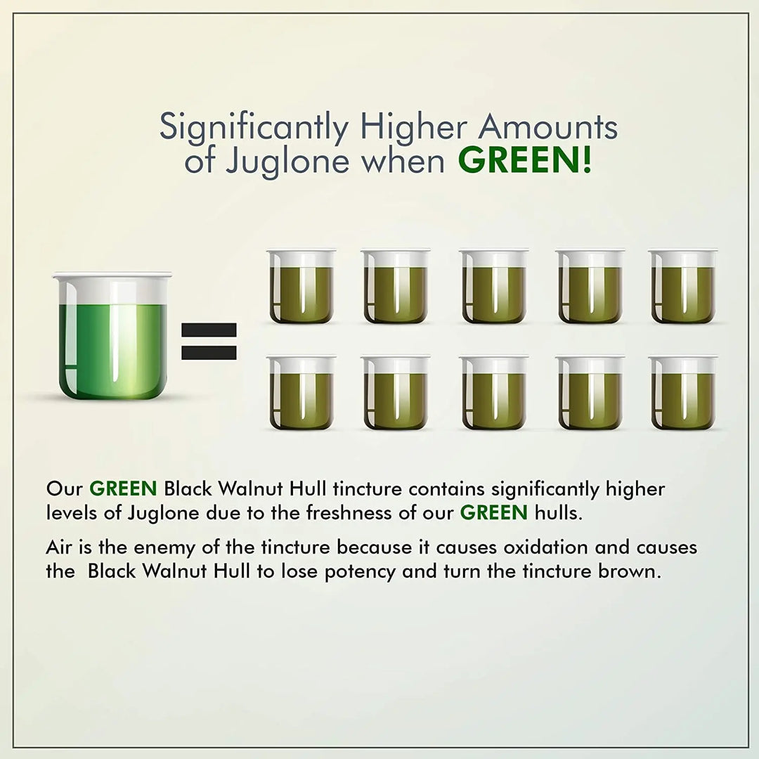 Dr. Clark Store Extra Strength Green Black Walnut Hull Tincture contains significantly higher levels of juglone than brown tinctures sold by other brands. Juglone is the active compound from walnut hull that makes our tincture so potent and effective. 