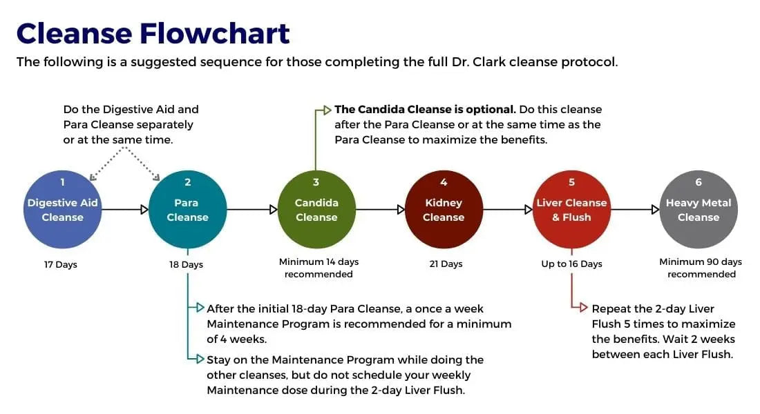 Recommended order of Dr. Hulda Clark's cleanses