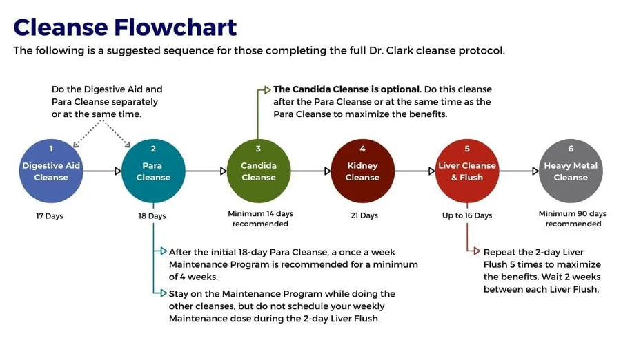 Recommended order of Dr. Hulda Clark's cleanses